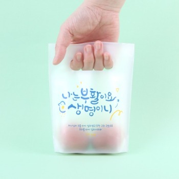 자체브랜드 그레이스벨 부활절 2구 친환경 손잡이 비닐 (10매)  블루